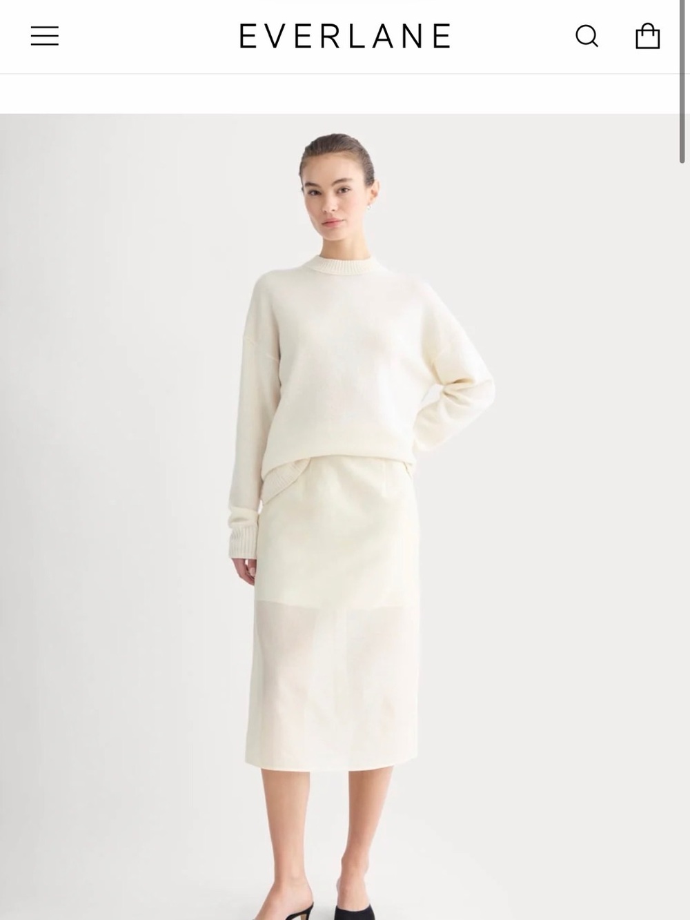 Everlane Organza Skirt